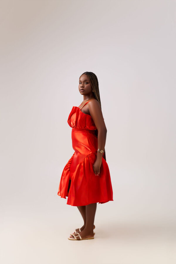 Bold Solice - Image 3